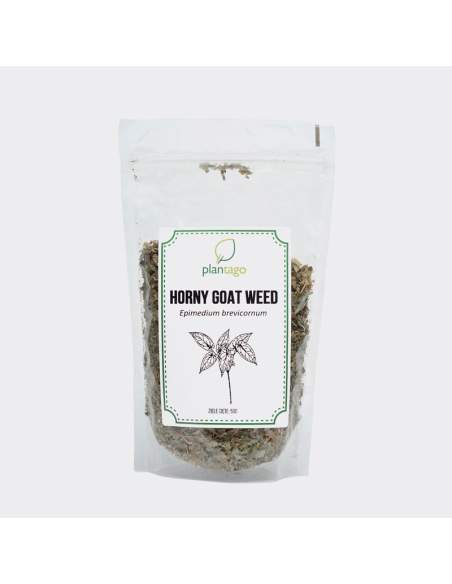 Horny Goat Weed ( Epimedium sagittatum )