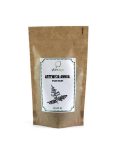 Artemisia annua (Bylica roczna) ziele 5904161792529 1  8311