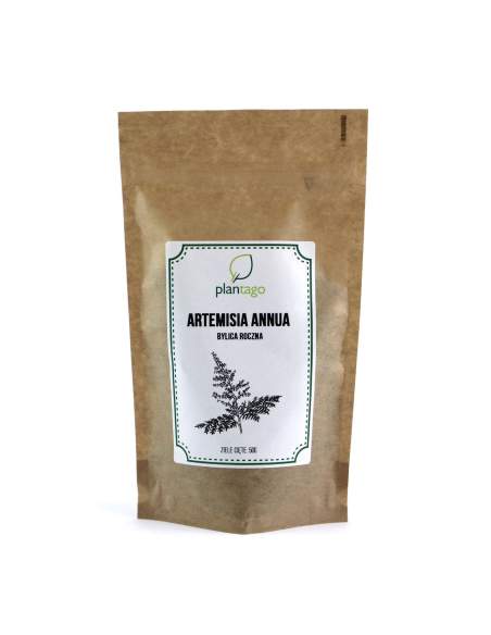 Artemisia annua ( Bylica roczna ) ziele