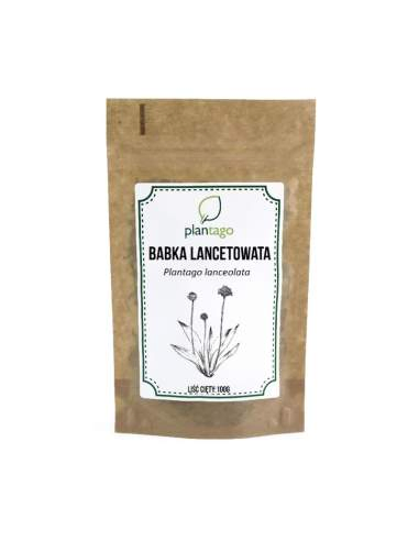 Babka lancetowata  100g