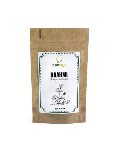 Bacopa monnieri (Brahmi)