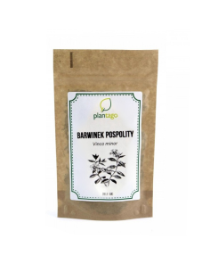 Barwinek pospolity (Vinca minor) 50g 5904161790808 1  8955