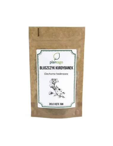 Bluszczyk kurdybanek - ziele 50g