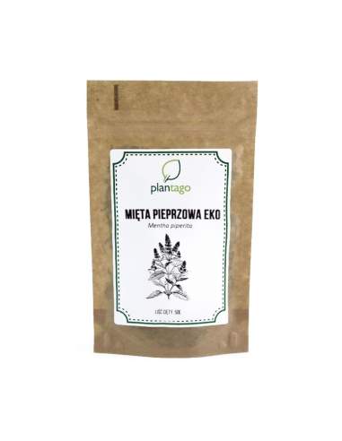 Mięta pieprzowa