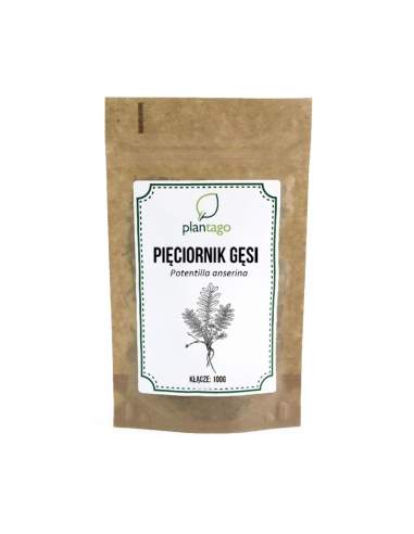 Pięciornik gęsi - kłącze 100g 5904161796640 1  9020