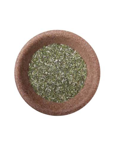 Tarczyca bocznokwiatowa ( Scullcap ) ziele cięte 50 g - 1