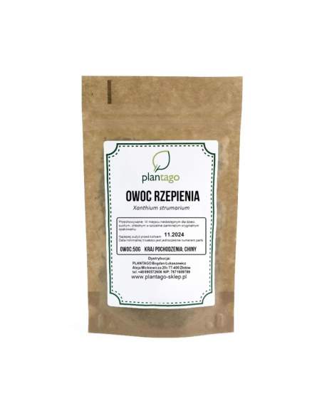 Owoc rzepienia ( Xanthium strumarium )