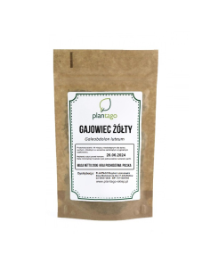 Gajowiec żółty (Galeobdolon luteum) ziele cięte 5904161794462 1  9173