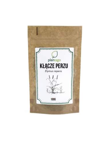 Kłącze perzu 100g