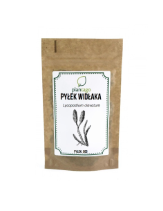 Pyłek widłaka goździstego (Lycopodium clavatum) 0000491 1  9194