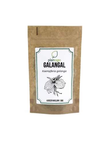 Galangal korzeń mielony 50g