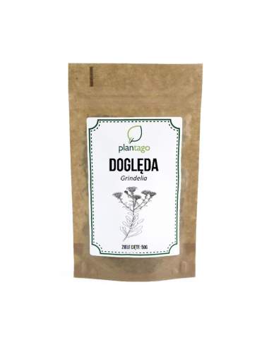 Doględa (Grindelia) ziele cięte - 1