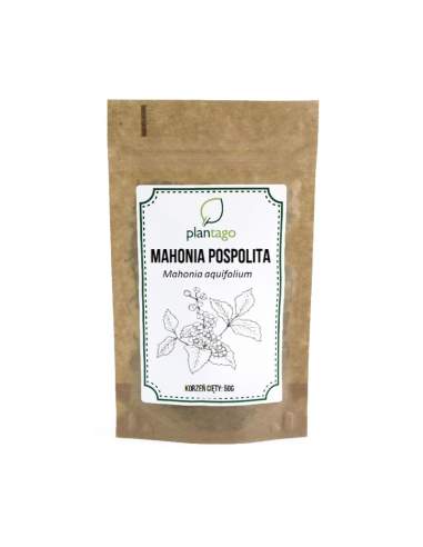 Mahonia pospolita (Mahonia aquifolium) korzeń cięty
