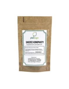 Sadziec konopiasty ziele cięte ( Eupatorium cannabinum ) 0000871 1  9305