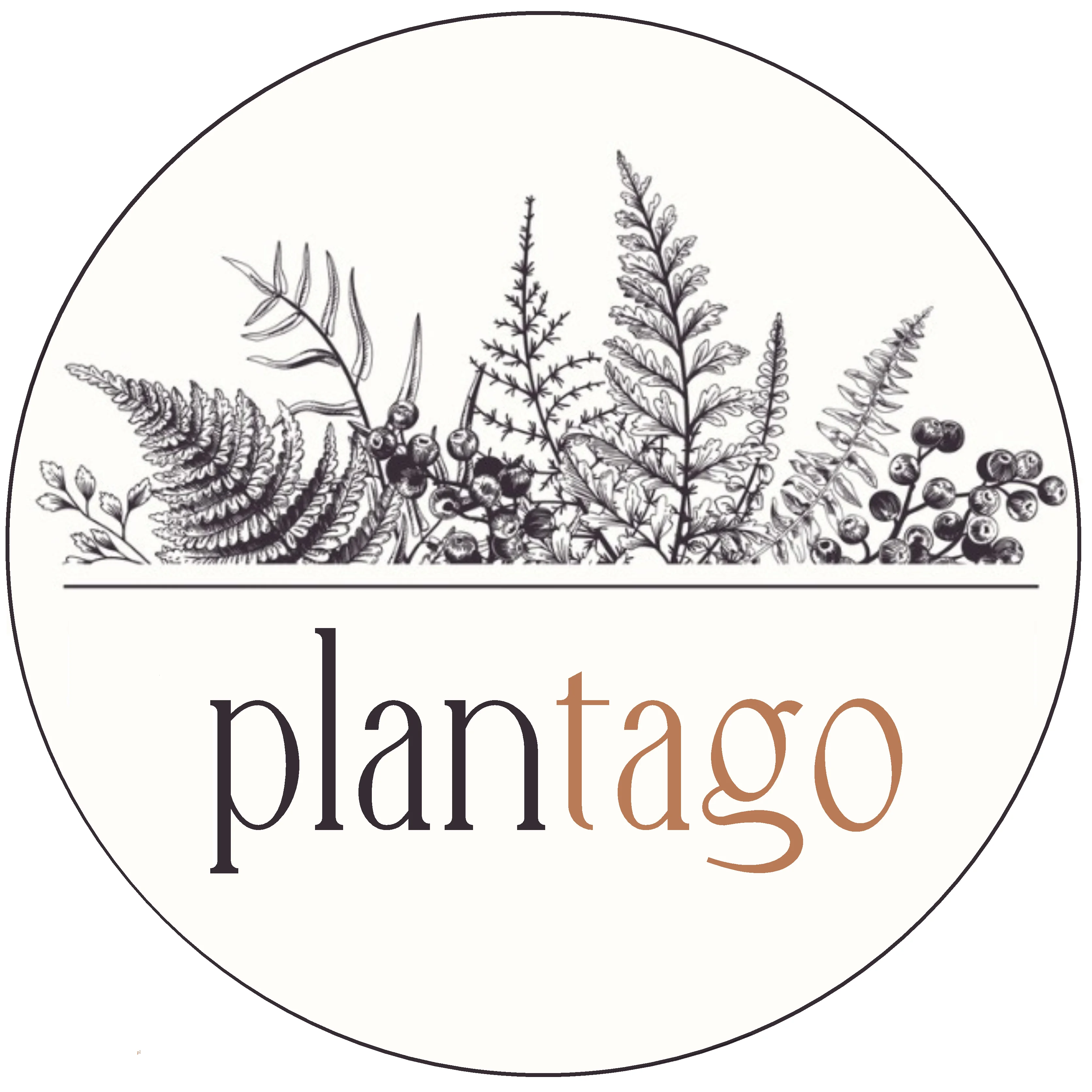 cropped blog logo 2 wersja